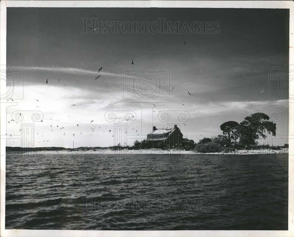 1963 Press Photo Gull island - Historic Images