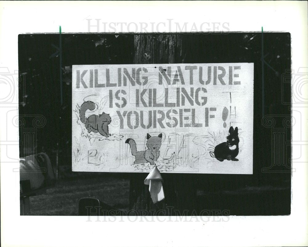 1981 Press Photo Tree, Greenpeace - Historic Images