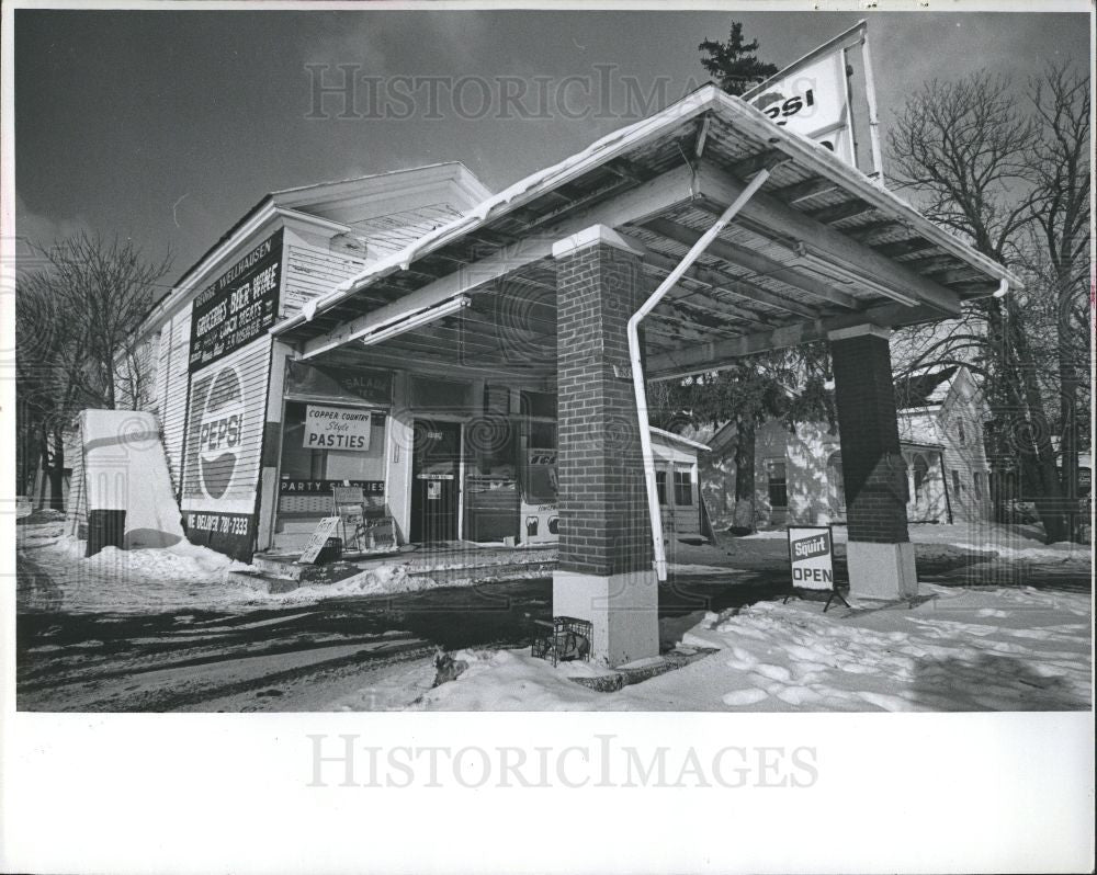 1977 Press Photo Wellhausen Country Store Disco MI - Historic Images