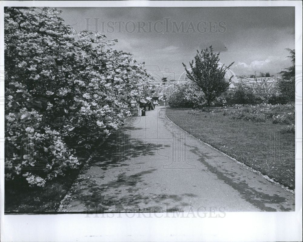 Press Photo Kew Gardens England - Historic Images