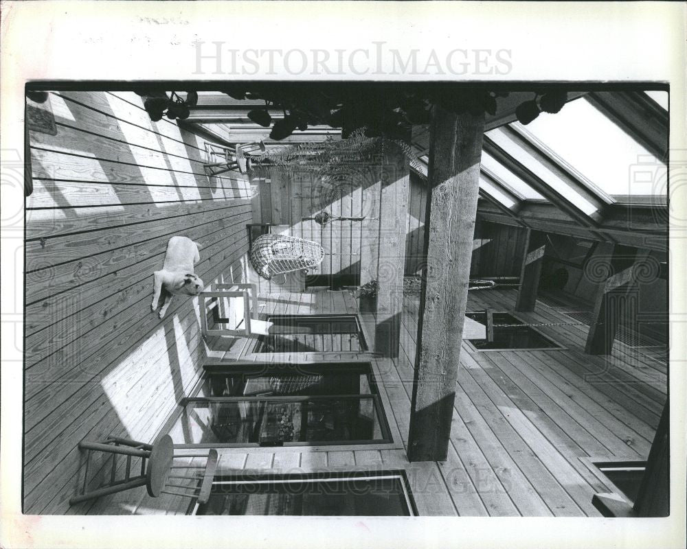 1980 Press Photo Furnos dog geothermal home - Historic Images