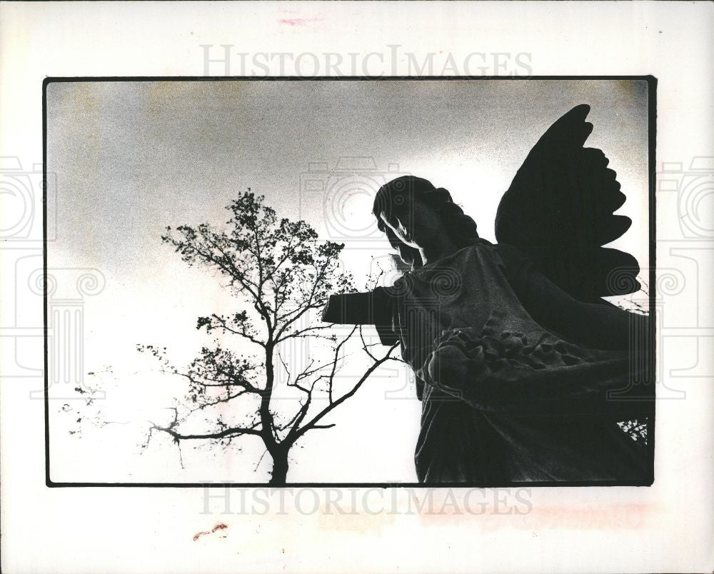 1976 Press Photo Elmwood Cemetery - Historic Images
