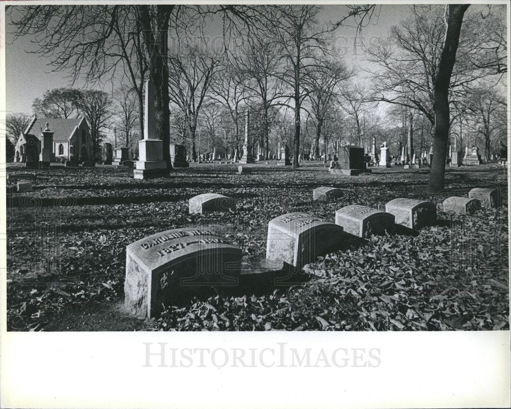 1980 Press Photo Elmwood Cemetery - Historic Images