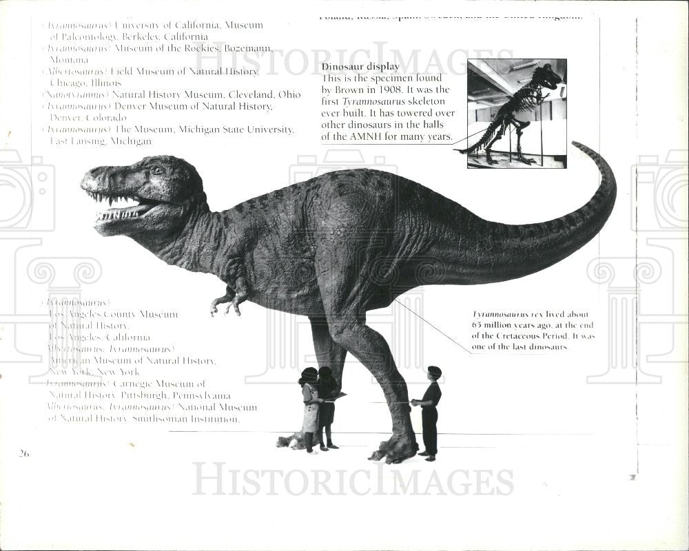 1993 Press Photo Tyrannosaurus AMNH dinosaurs - Historic Images