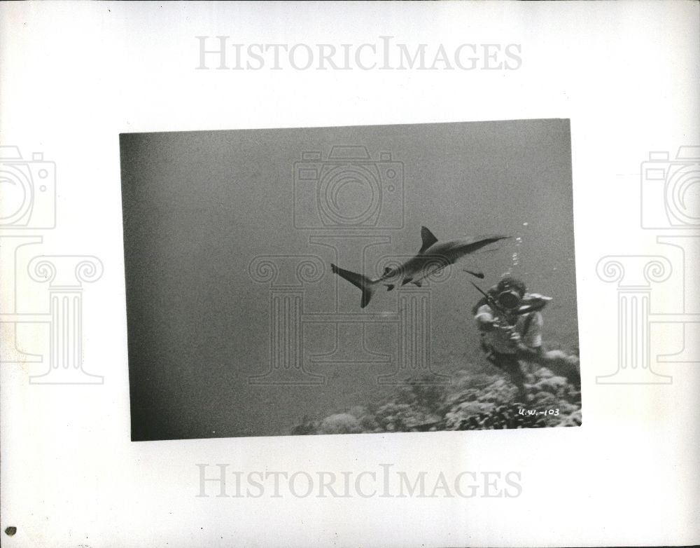 1958 Press Photo DIVING - Historic Images