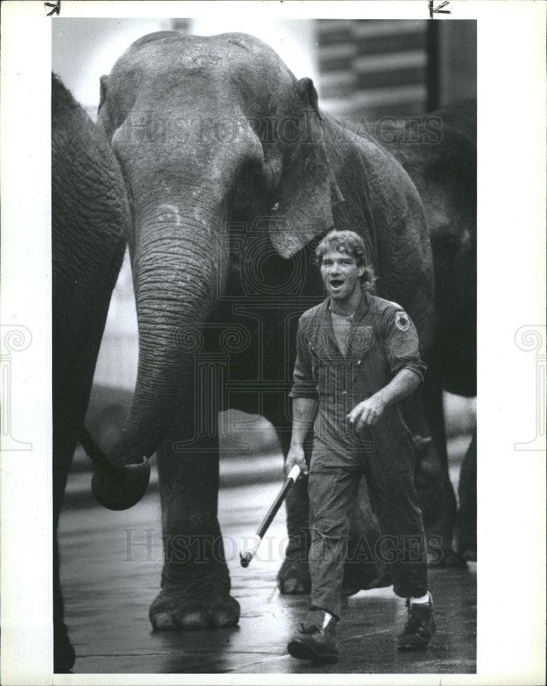 1986 Press Photo large land mammals - Historic Images
