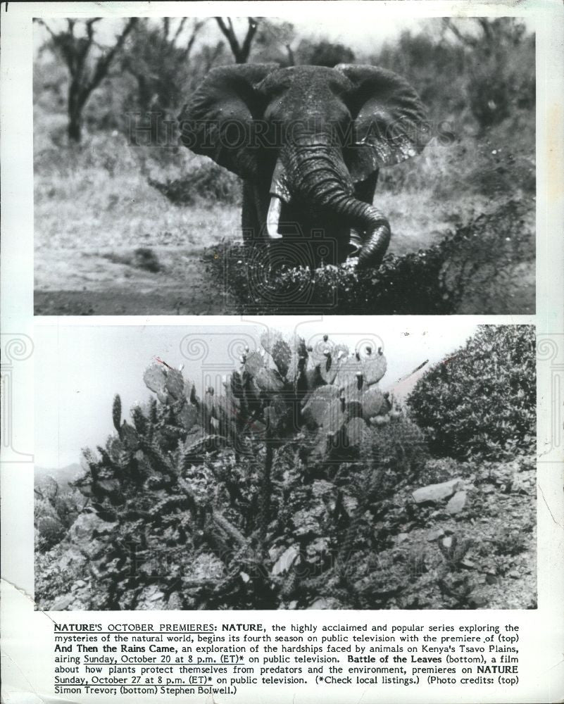 1985 Press Photo Nature PBS documentary - Historic Images