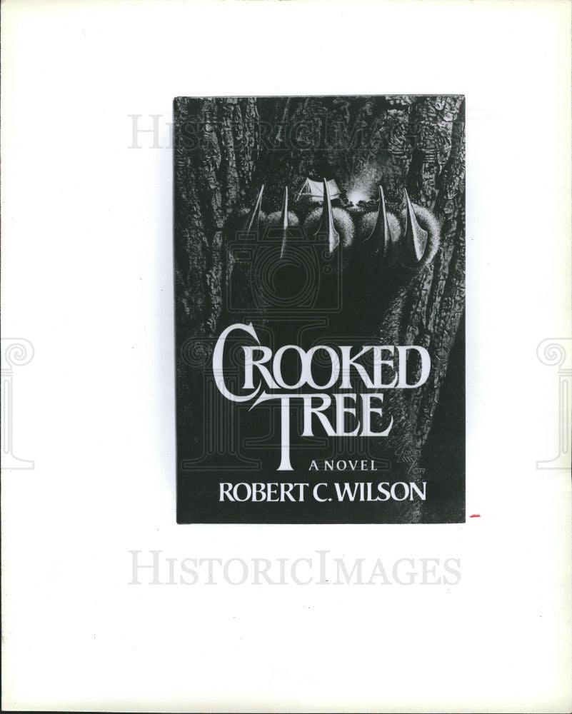 1980 Press Photo Crooked Tree - Historic Images