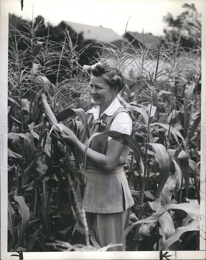 1943 Mrs. William Oppenheimer corn harvest-Historic Images