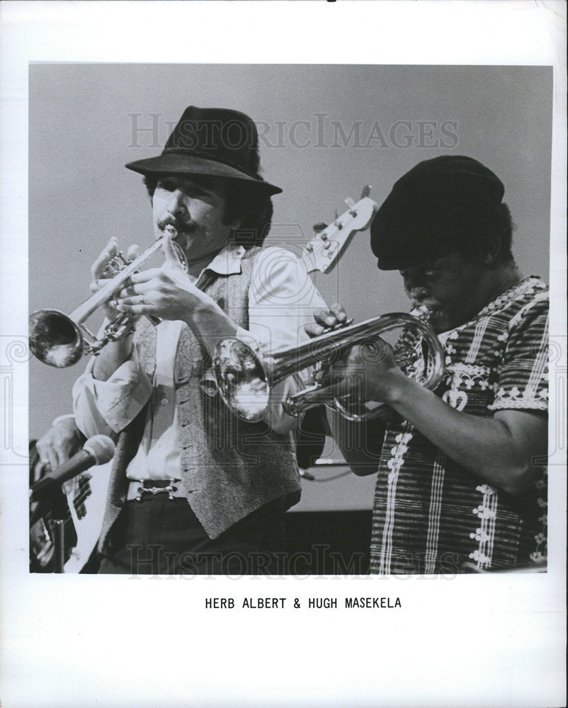 1978 HERB ALBERT HUGH MASEKELA MUSICIAN-Historic Images