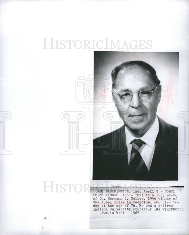 1967 Hermann J Muller Nobel Prize medicine-Historic Images