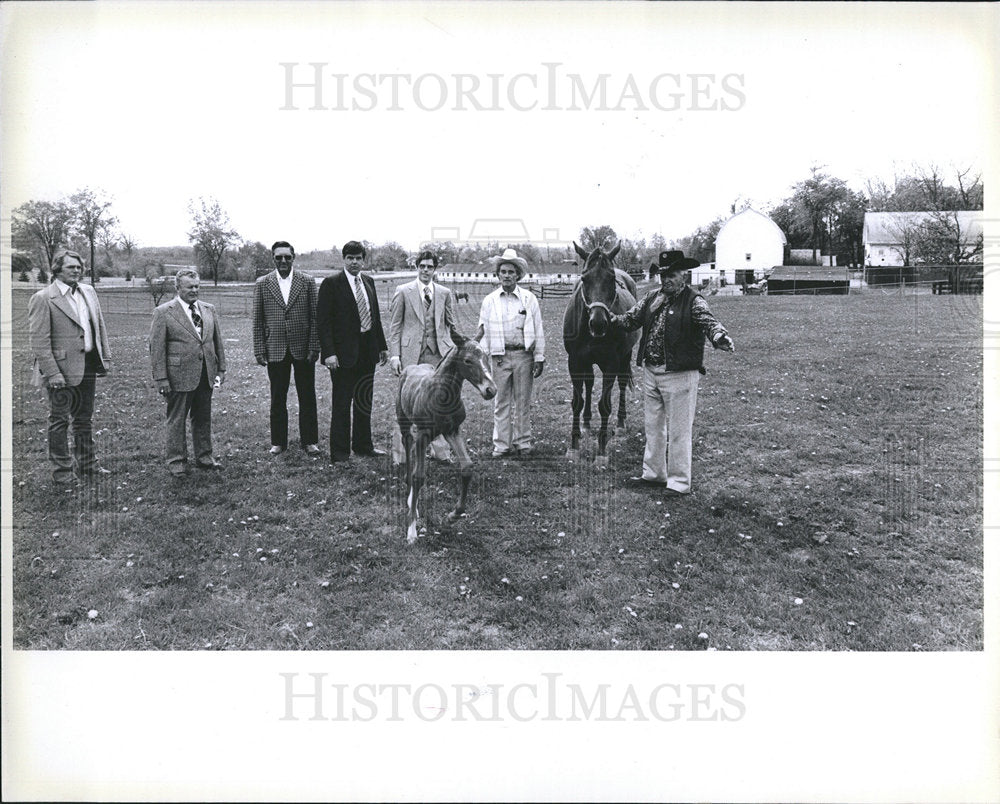 1975 WILLIAM BRIDGE  Horse farm Shinrone-Historic Images