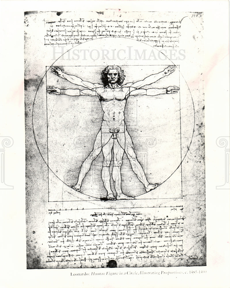 1982 Leonardo Davince-Historic Images
