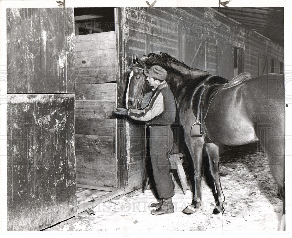 horse riding saddle barn equestrian-Historic Images