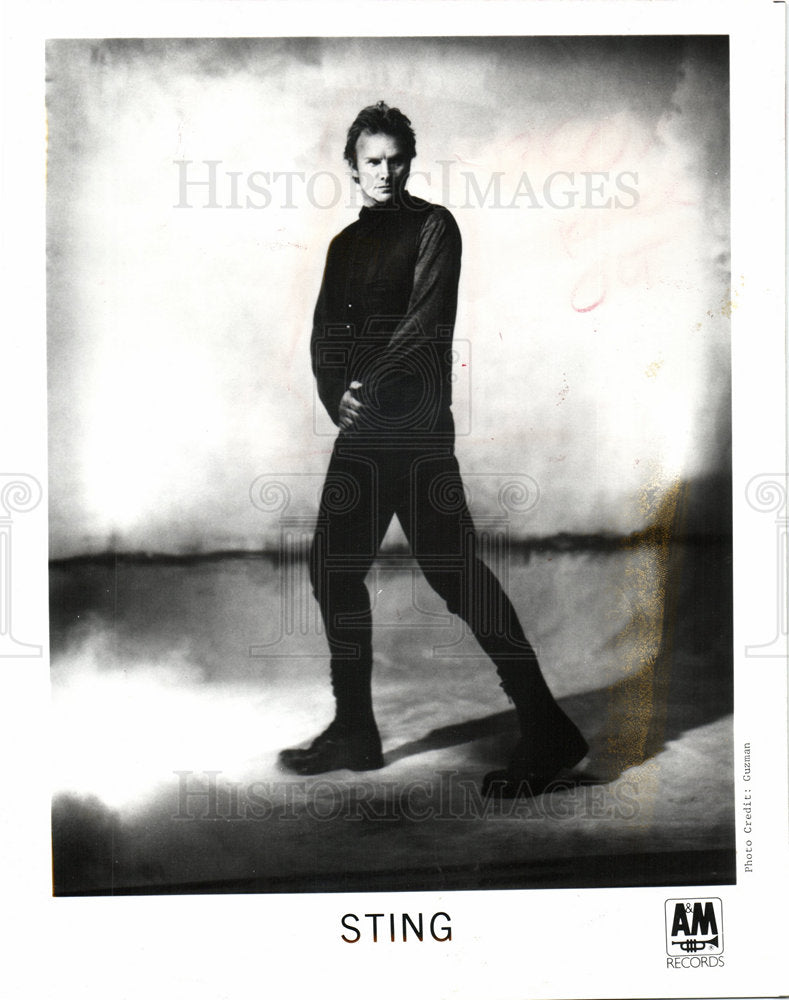 Sting English musician singer activist-Historic Images