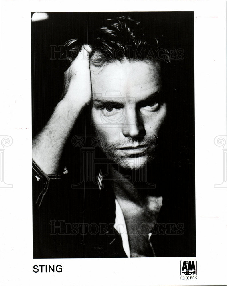 1993 Sting English musician singer actor-Historic Images