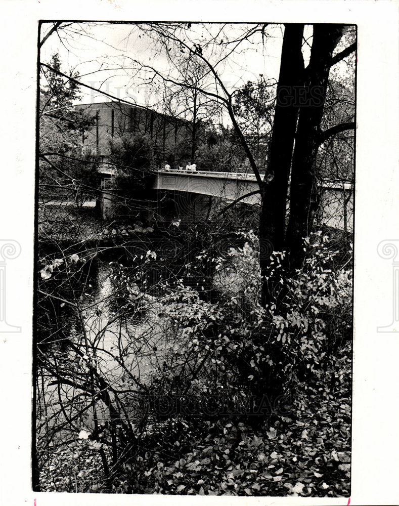 1984 Michigan State Red Cedar River-Historic Images