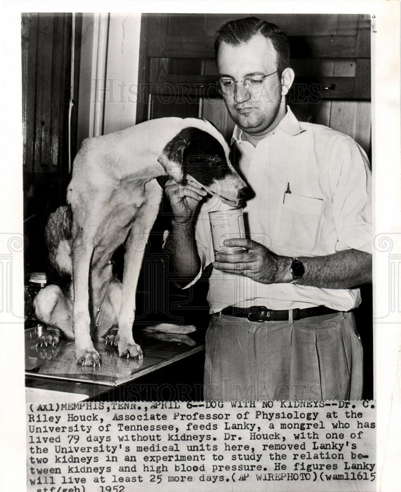 1952 Dr. C. Riley Houck medical research-Historic Images