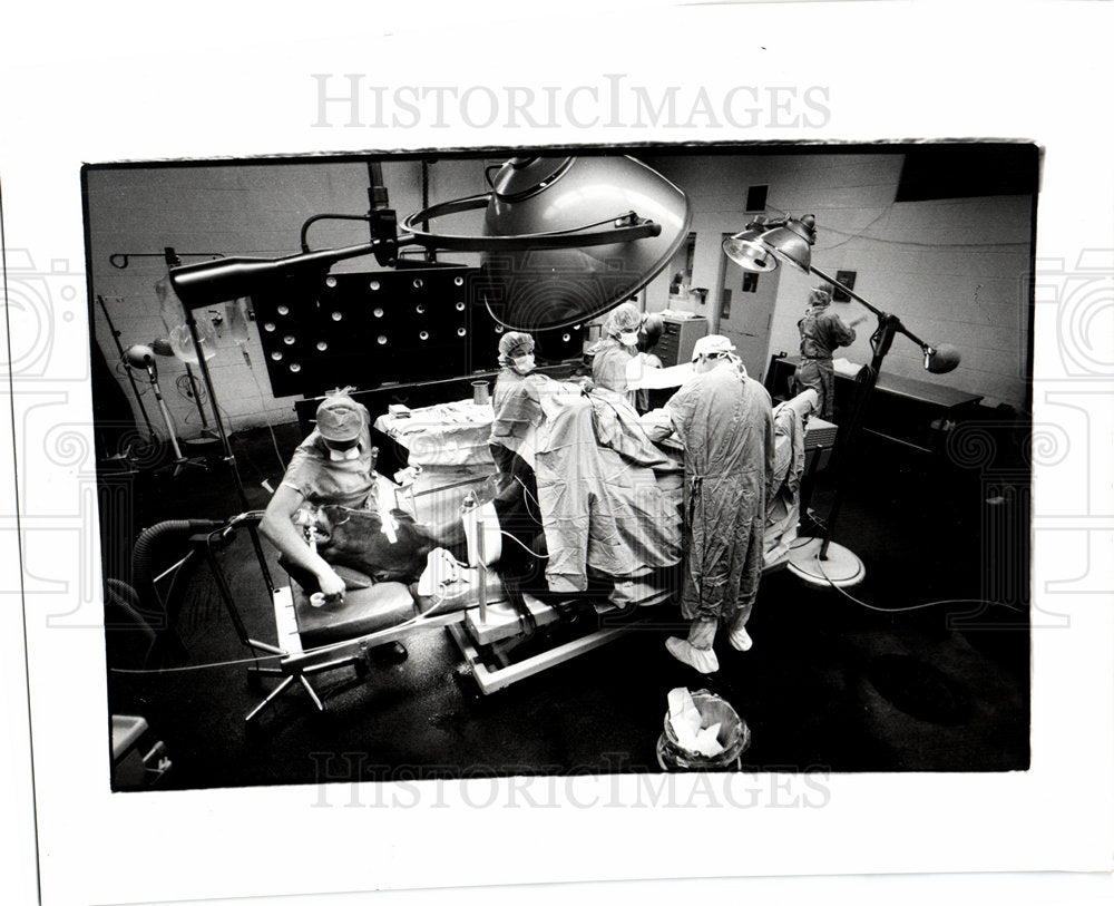 1991 Veterinary Clinical Center Michigan-Historic Images