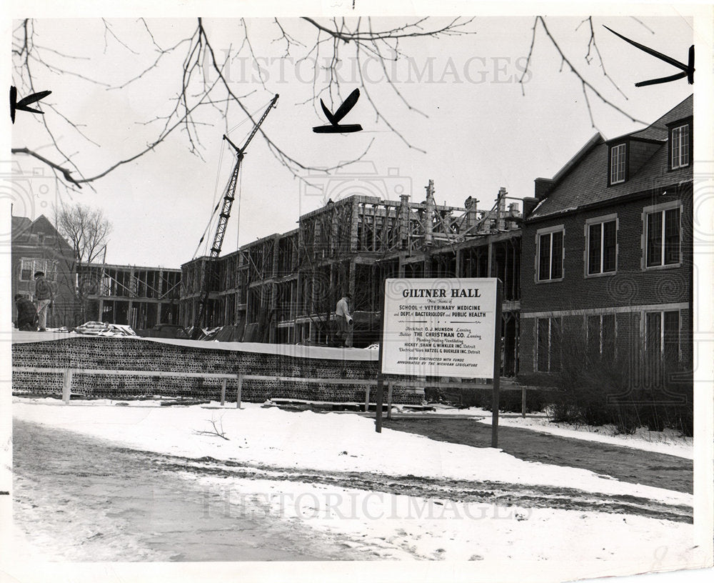 1951 Michigan State Giltner Veterinary Hall-Historic Images