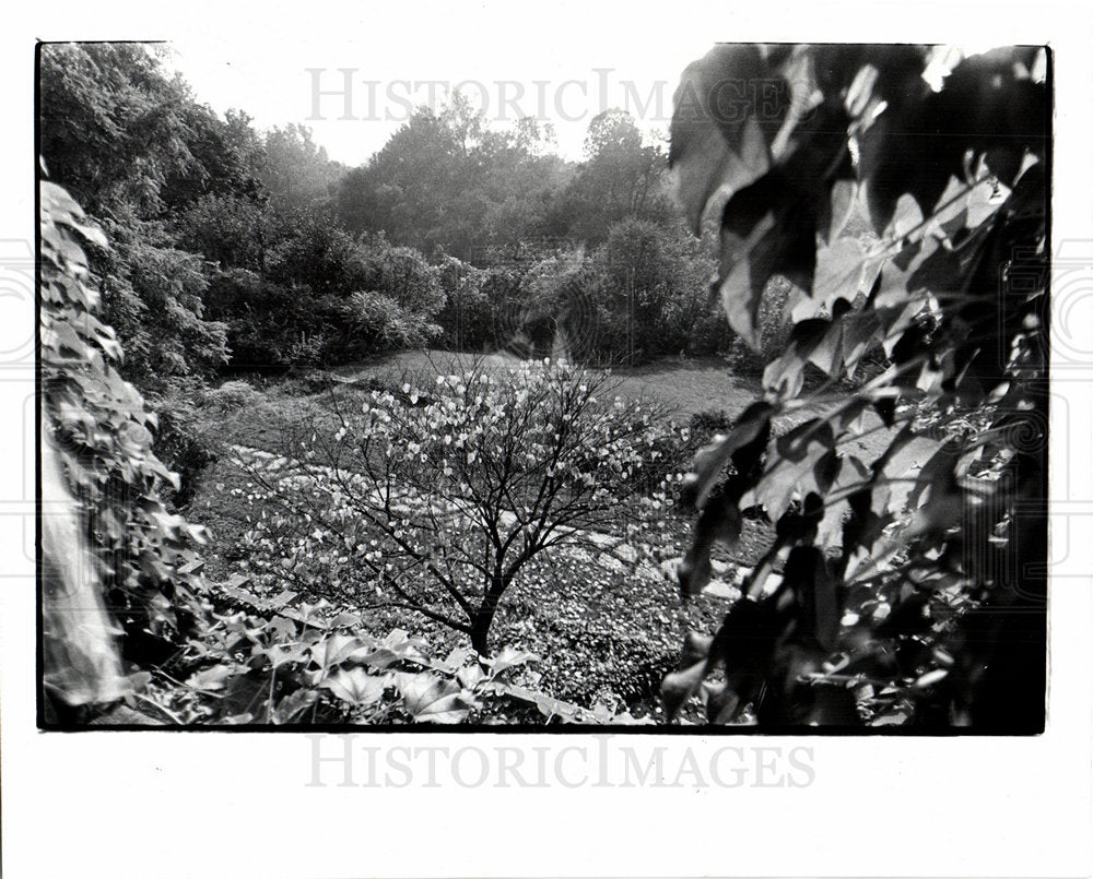 1973 Henry Ford Wildlife Preserve-Historic Images