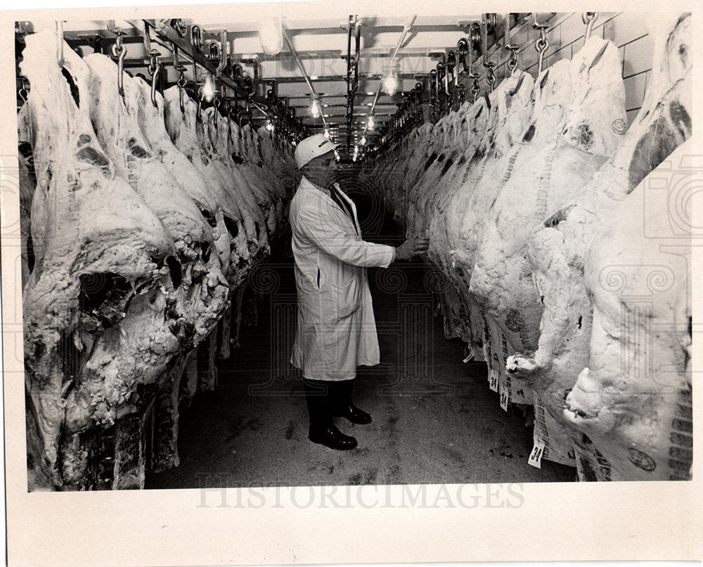 meat packing butcher carcasses-Historic Images