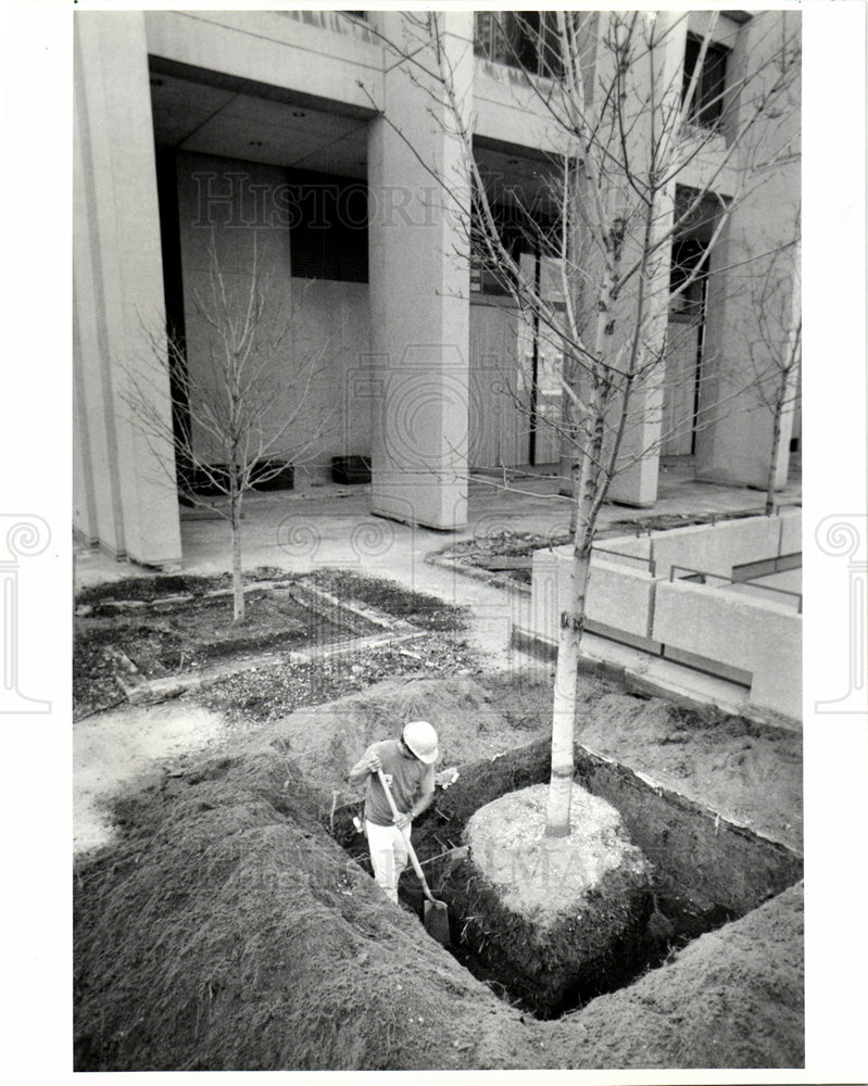 1986 Patrick V. McNamara Federal Building-Historic Images