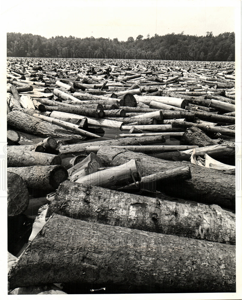 1975 Lumber Industry Historical log drive-Historic Images