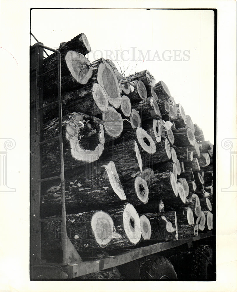 1975 Lumber Industry-Historic Images