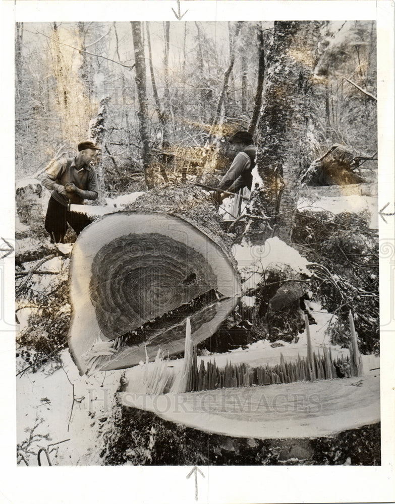 1941 Lumber Industry-Historic Images