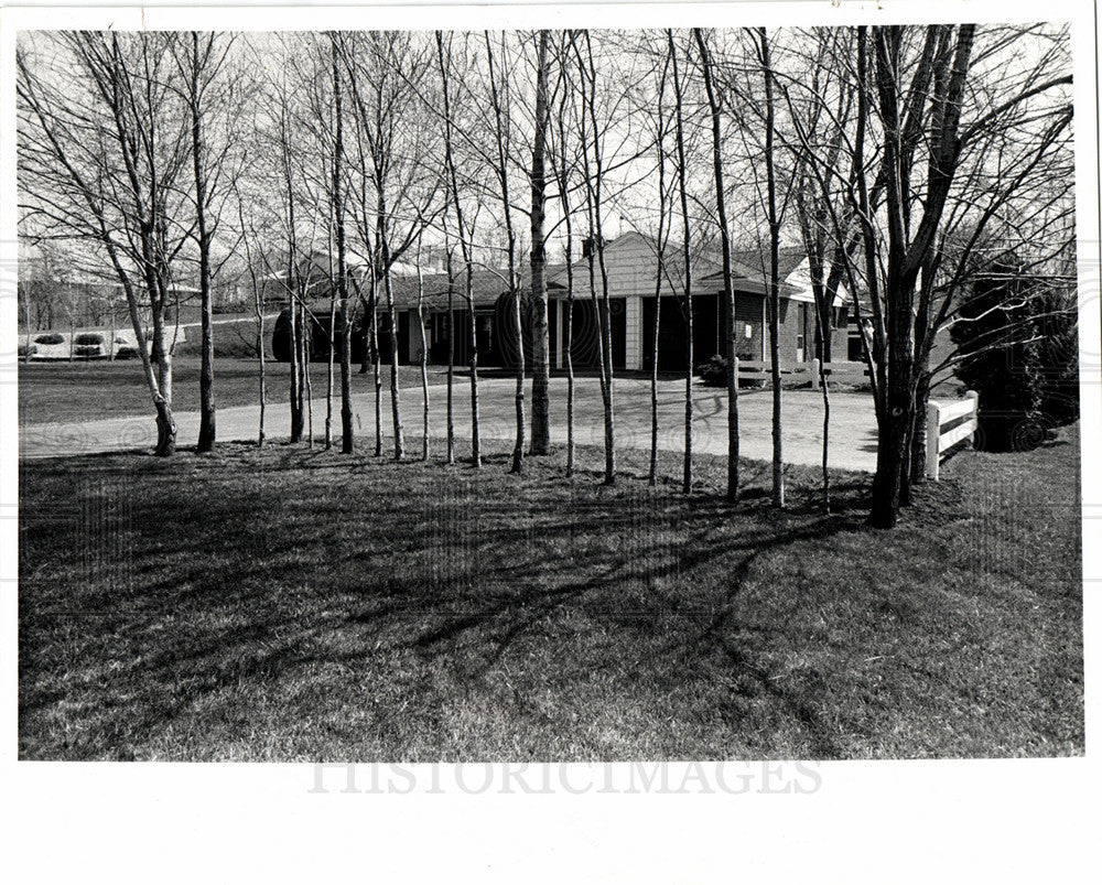 1970 Landscaping-Historic Images