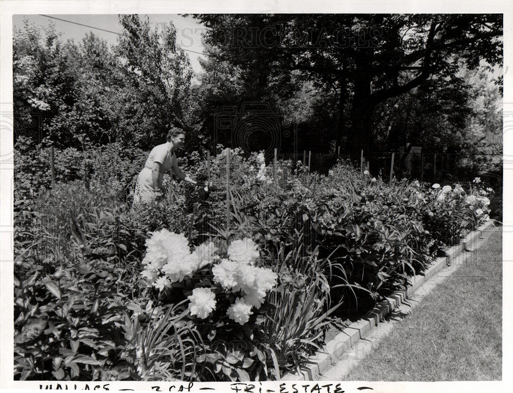 1957 Wallace Landscaping Fairfax Birmingham-Historic Images