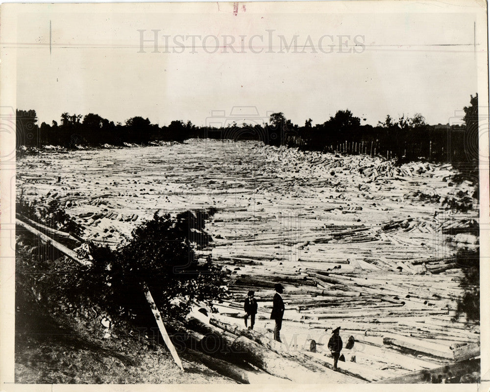 1956 Tittabawassee log jam 130 miles 1873-Historic Images