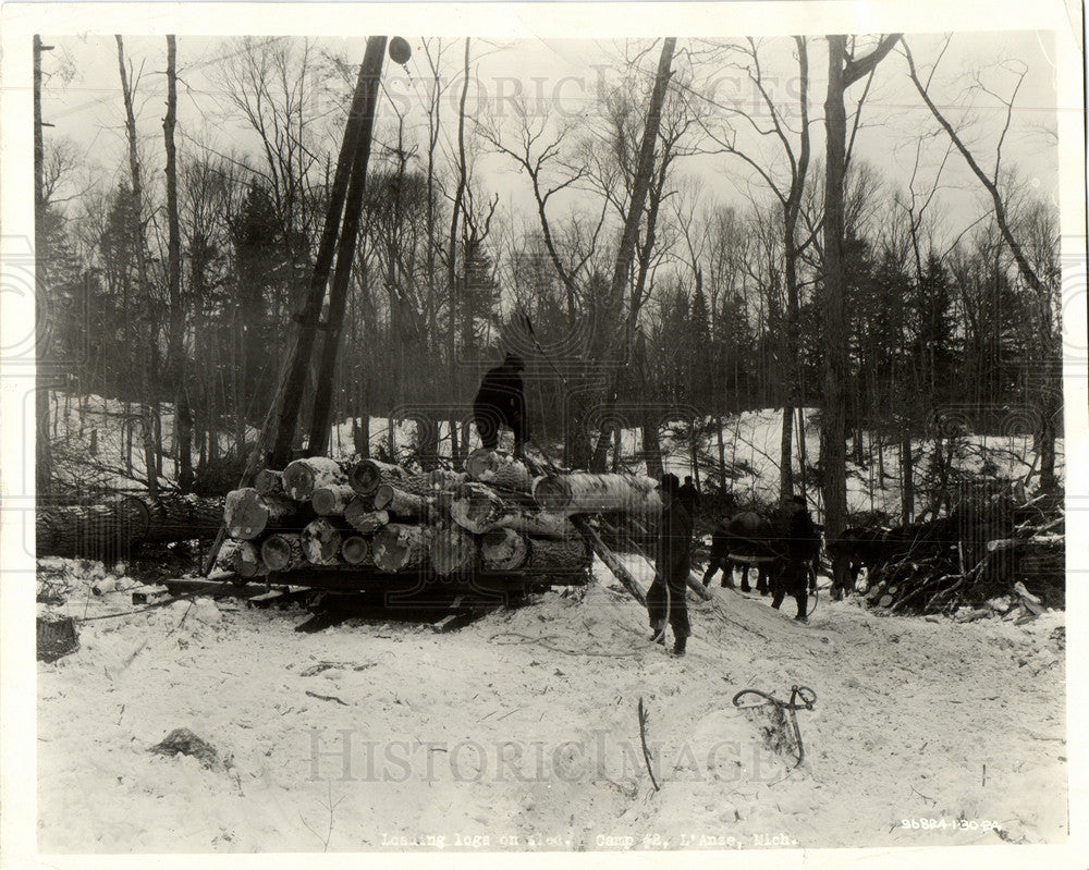 1927 Lumber industry logging-Historic Images