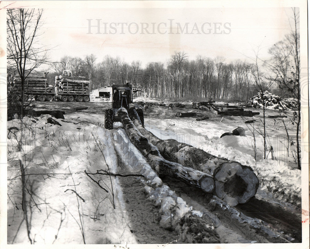 1963 lumber industry timber-Historic Images