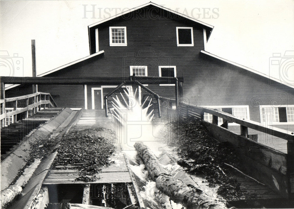 1956 Red pine logs at lumber industry-Historic Images