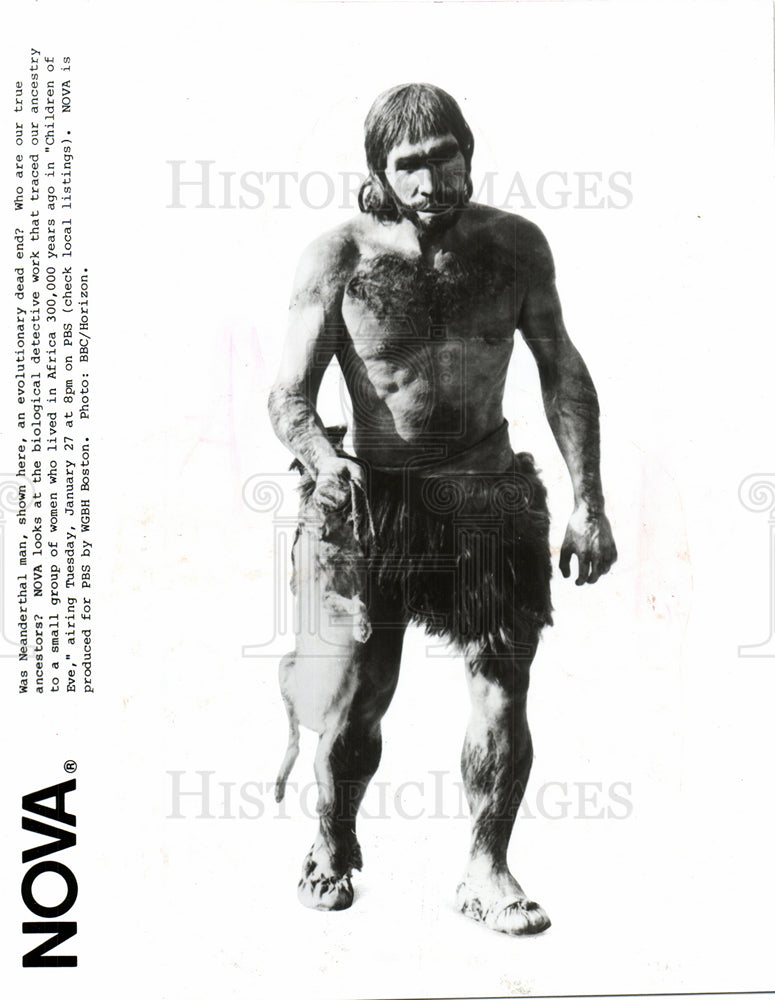 1987 NOVA neanderthal PBS-Historic Images