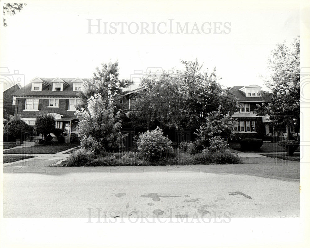 1985 Robert Riley sacred grove neighbors-Historic Images