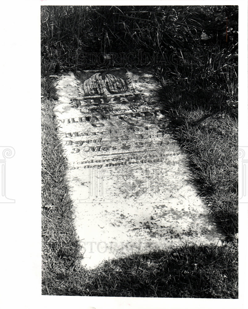 1983 historic housing Michigan grave marker-Historic Images