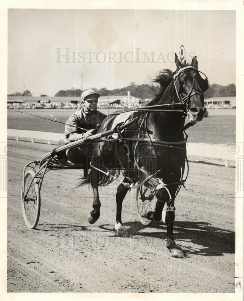 1952 Henry T. Adios Stanley Dancer-Historic Images