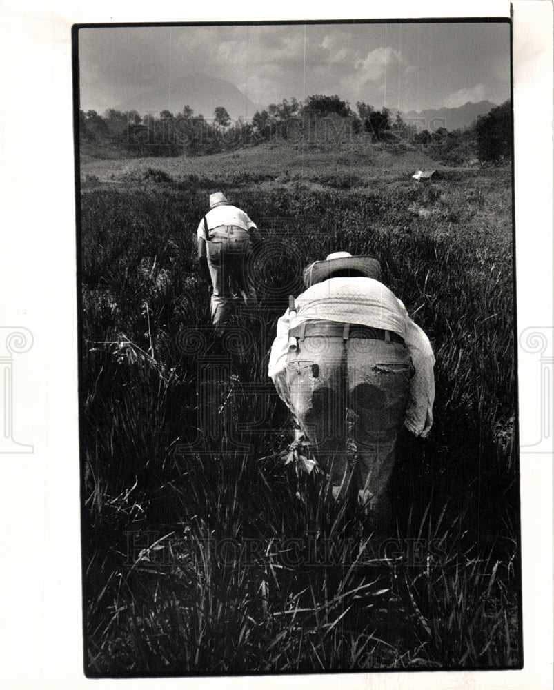 1989 Tom Monaghan peasant farmers Honduras-Historic Images