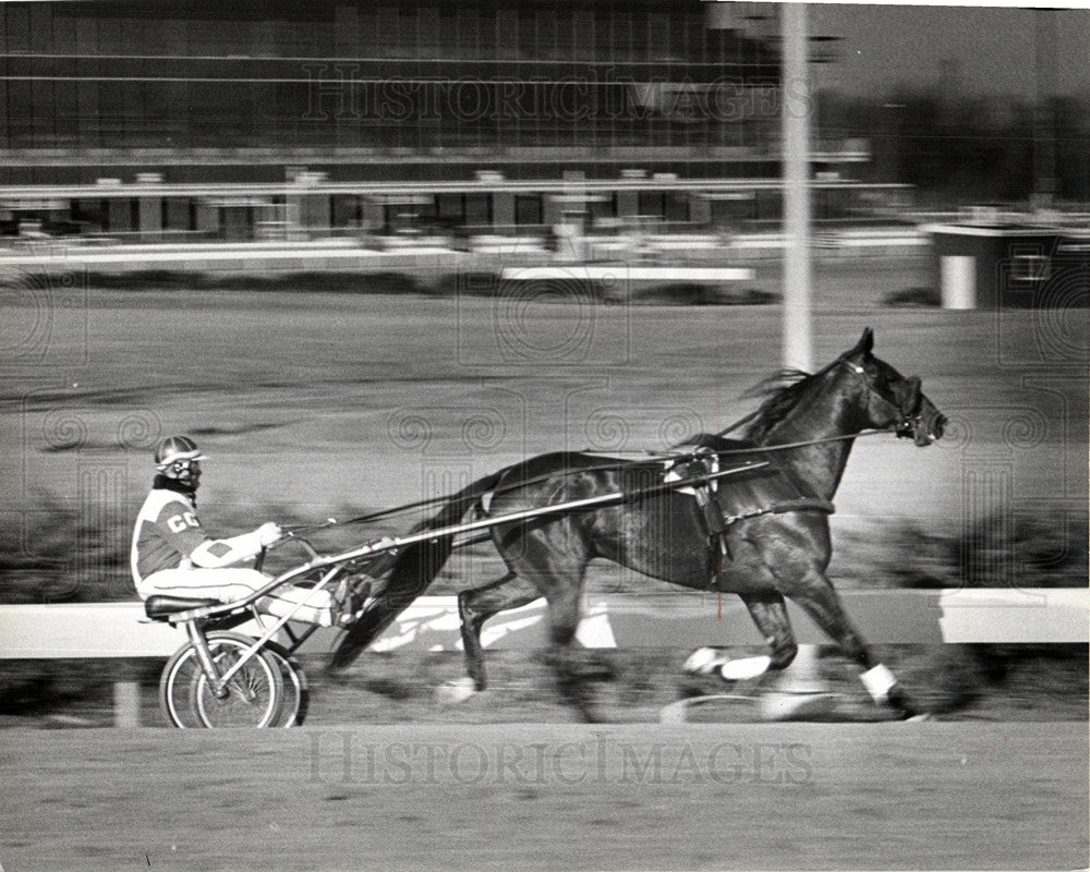 1981 Horse racing harness-Historic Images