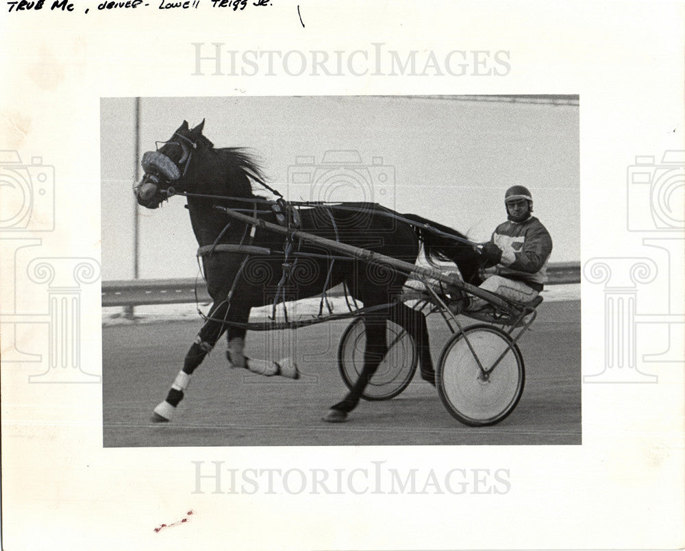 1976 Horse Racing Harness-Historic Images