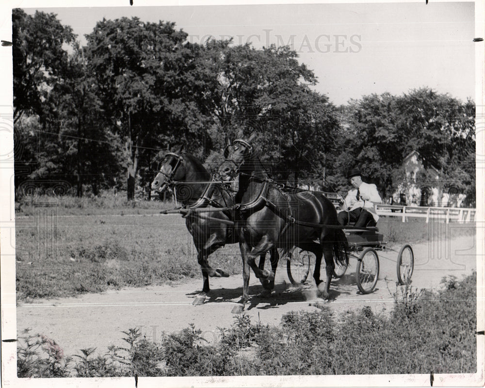 1953 HORSE CARRIAGE-Historic Images
