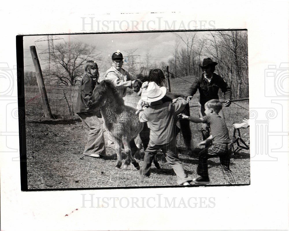 1976 Horse Pony skittish greet new master-Historic Images