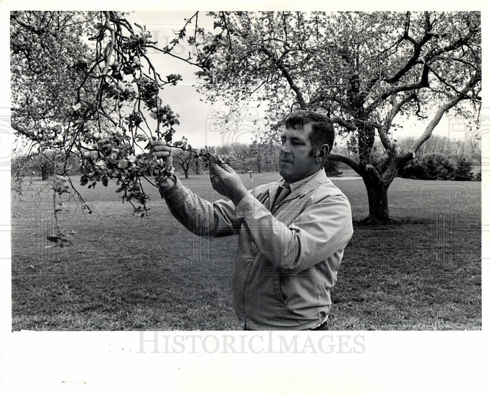 1973 Herb Teichman Gardner-Historic Images