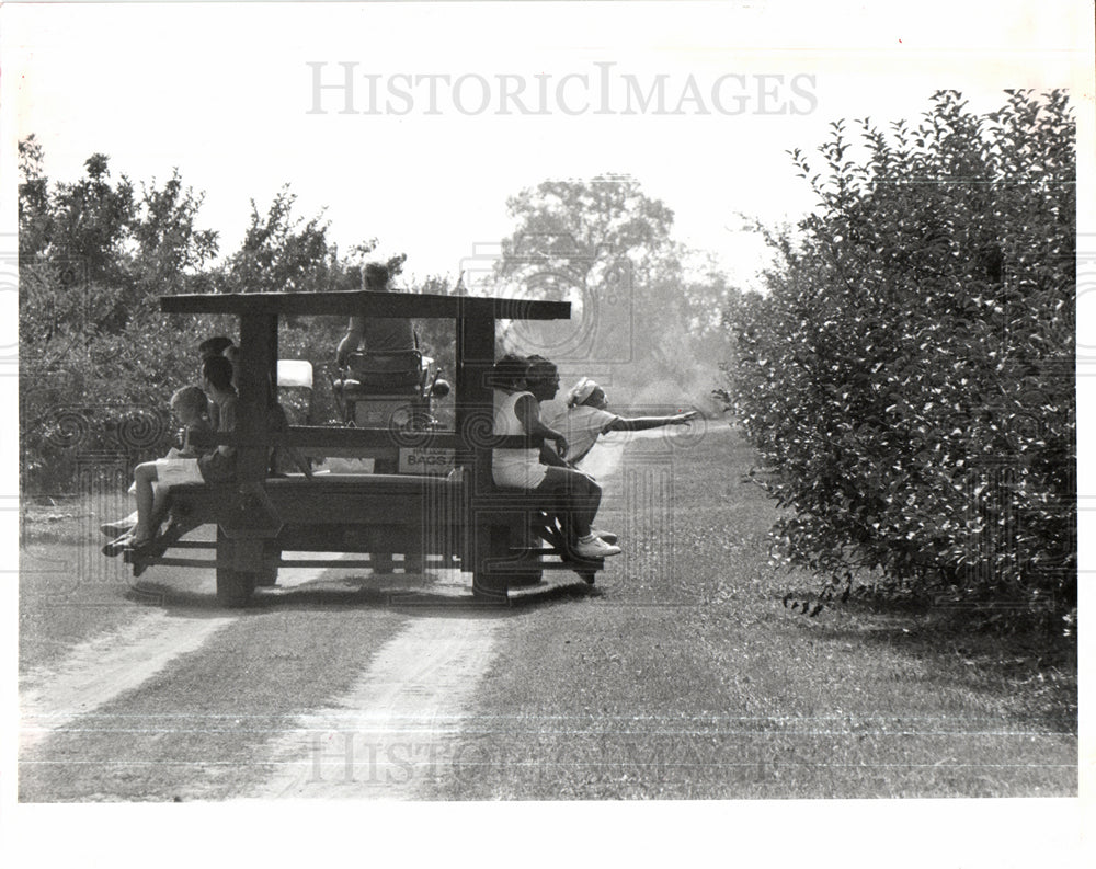 1994 wiard&#39;s orchard-Historic Images