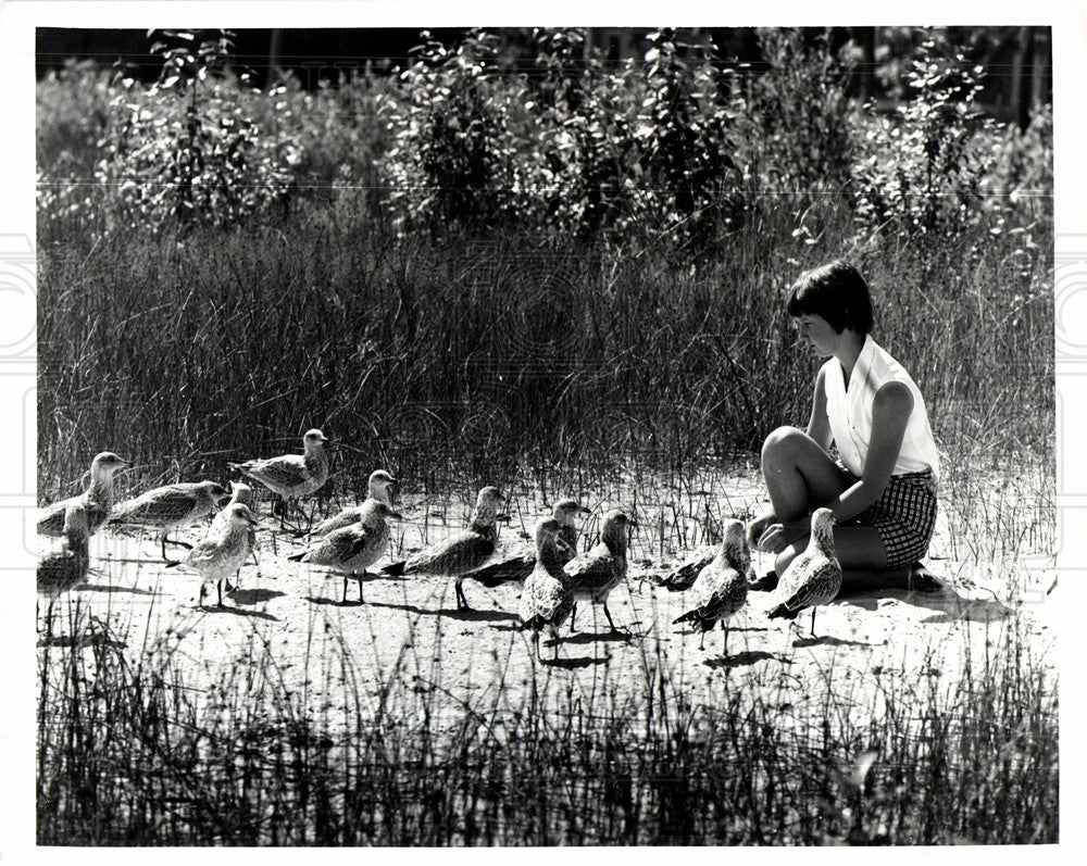 1979 Ontario Canada wildlife park birds-Historic Images