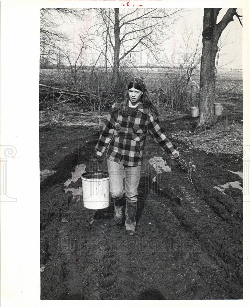 1974 Mary Fogle collection sap maple syrup-Historic Images