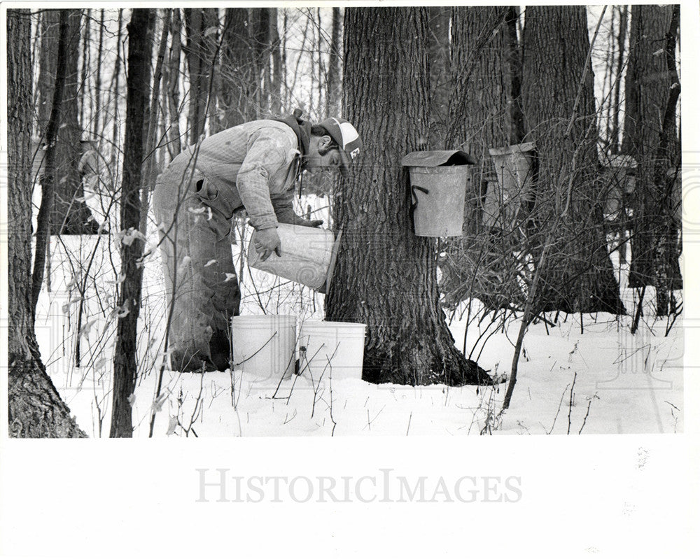 1978 Billy Bugbee sap maple syrup-Historic Images